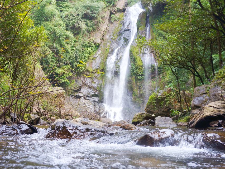 Khao Lak: Little Amazon Canoe Ride & Tam Nang Waterfall Tour - Should you book the Khao Lak Little Amazon and Tam Nang Waterfall tour?