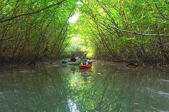 Khao Lak Mangrove Explorers - Key Points You’ll Care About