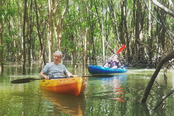 Khao Lak Mangrove Explorers - Price and Value: Is $87.99 Worth It?