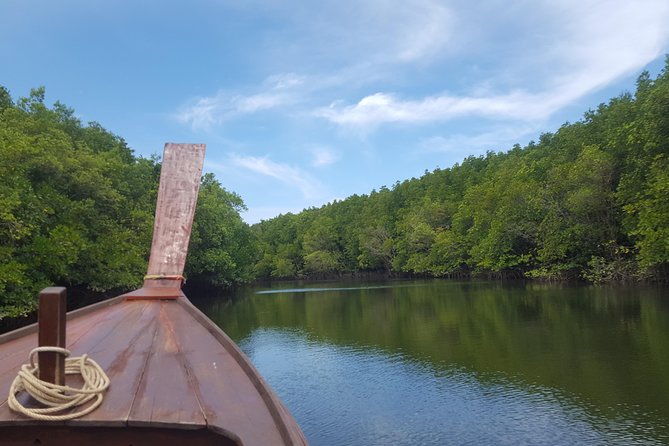 Khao Lak Mangrove Explorers - The 5-Hour Flow: Longtail Boat, Kayaks, and a Floating Base