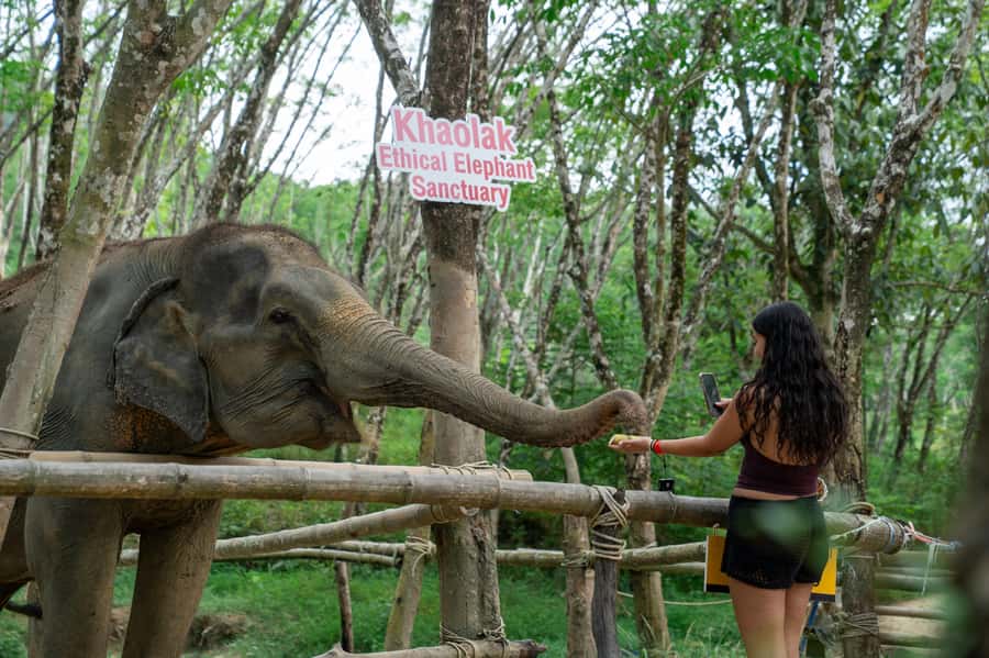 Khao Lak Multi-Adventure: Bamboo Rafting, ATV & Elephants - Should You Book This Khao Lak Multi-Adventure?