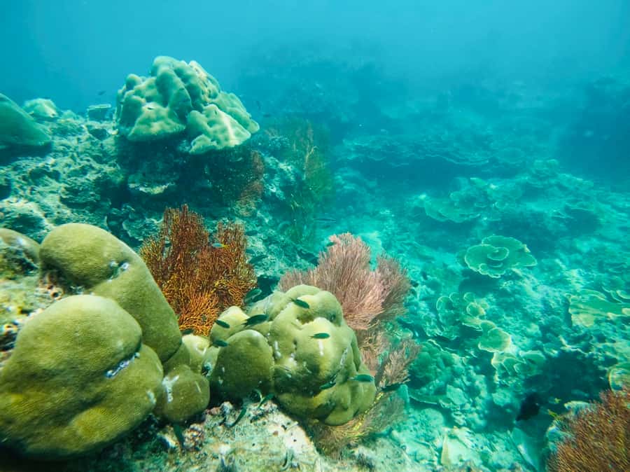 Khao Lak: Phi Phi & Bamboo Island Day Trip by Speedboat - Pacing that makes the day feel doable