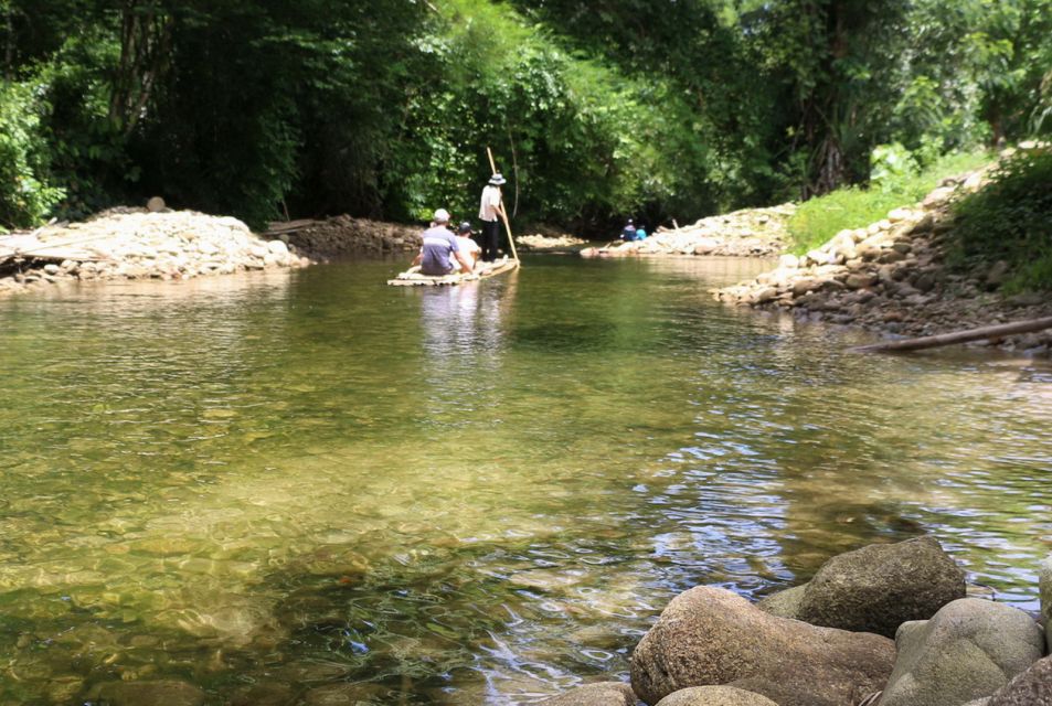 Khao Lak: Raft Expedition & Sea Turtle Conservation Center - Bamboo Rafting in the Rainforest: Relaxed Float, Real Nature Moments