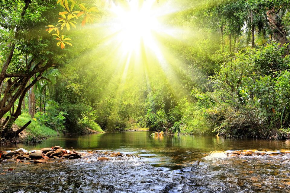 Khao Lak: Raft Expedition & Sea Turtle Conservation Center - Getting From Your Hotel to the River: Pickup Windows You Can Plan Around