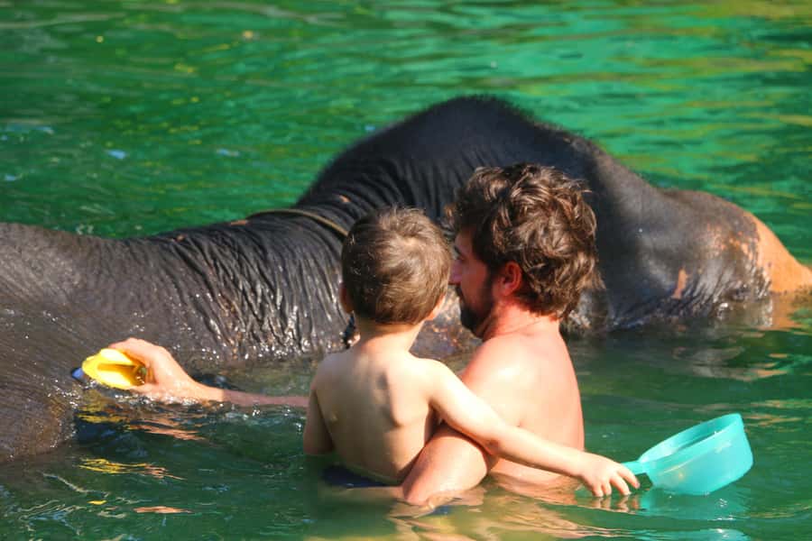 Khao Lak: Rafting, Elephant Bathing & Sea Turtle Center Tour - Key things that make this tour worth your time