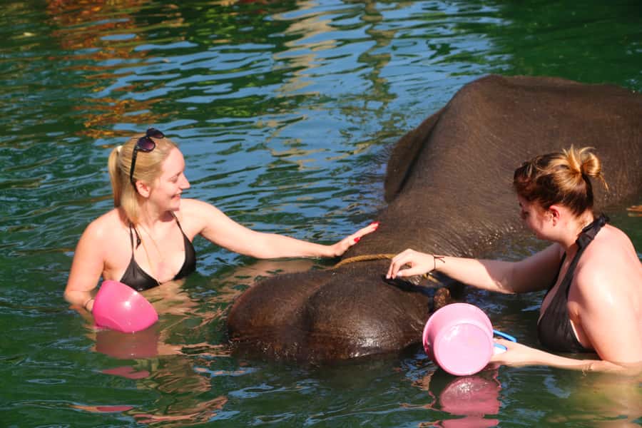 Khao Lak: Rafting, Elephant Bathing & Sea Turtle Center Tour - Khao Lak morning logistics: pickup timing and how to stay relaxed