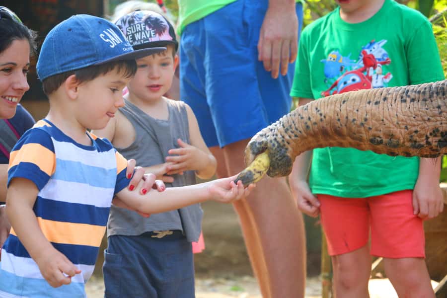 Khao Lak: Rafting, Elephant Bathing & Sea Turtle Center Tour - Who should book this Khao Lak tour, and who should skip it
