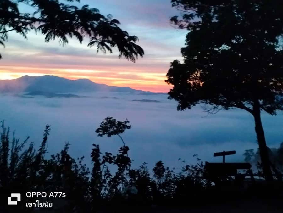 Khao Lak: Sea of Fog on Hill & Sunrise at Khao Khai Nui - Key Things You’ll Notice on This Khao Khai Nui Sunrise Tour