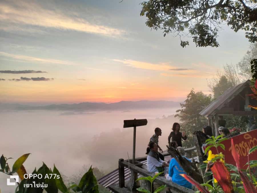 Khao Lak: Sea of Fog on Hill & Sunrise at Khao Khai Nui - Who This Tour Suits Best (and Who Should Think Twice)