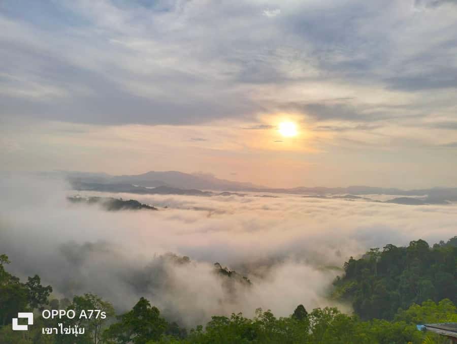 Khao Lak: Sea of Fog on Hill & Sunrise at Khao Khai Nui - The 360-Degree Hill Walk: More Than a Photo Stop