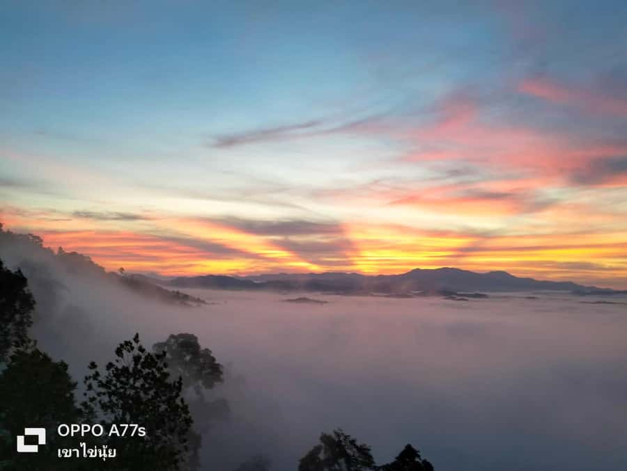 Khao Lak: Sea of Fog on Hill & Sunrise at Khao Khai Nui - Thai Local Breakfast: Small Portion, Real Fuel