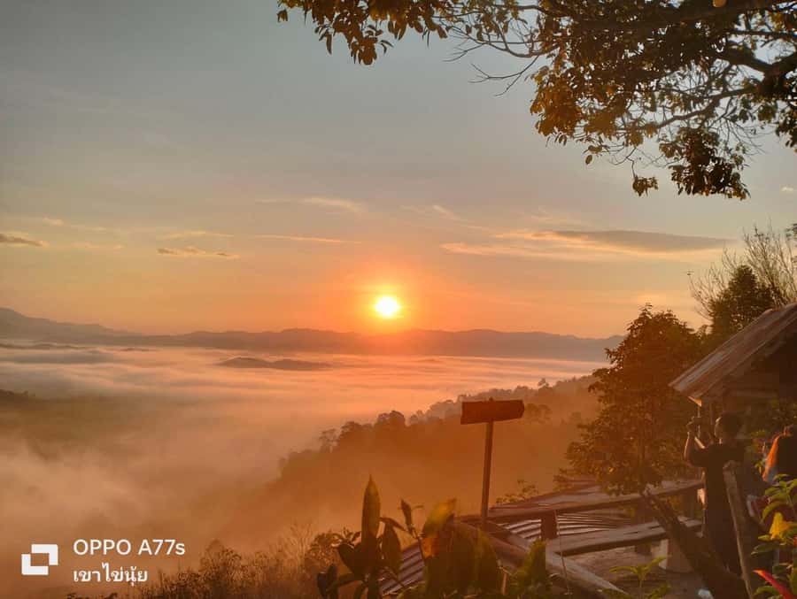 Khao Lak: Sea of Fog on Hill & Sunrise at Khao Khai Nui - Price and Value: What $78 Buys You at 5:00 AM