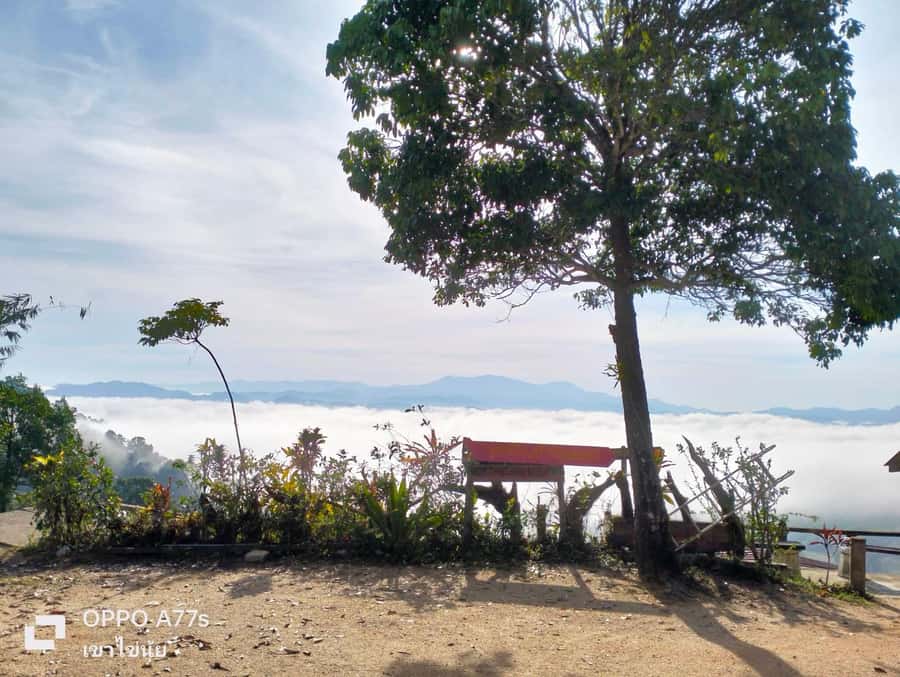 Khao Lak: Sea of Fog on Hill & Sunrise at Khao Khai Nui - The 5:00 AM Pickup and 4-Wheel-Drive Climb: The Part You Don’t Want to Miss