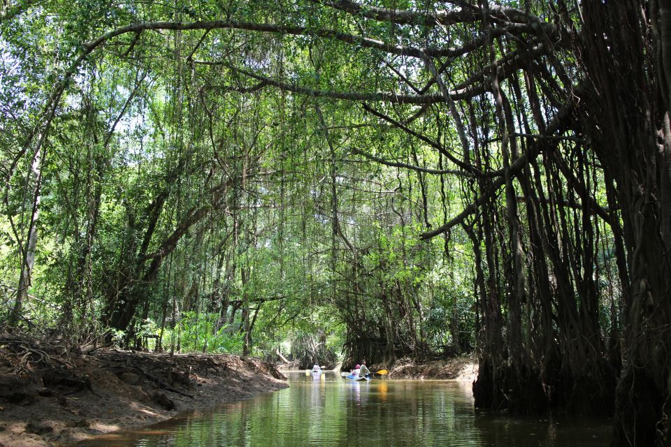 Khao Lak: Sri Phang Nga Canoe and Tam Nang Waterfall Tour - Key highlights you’ll feel right away