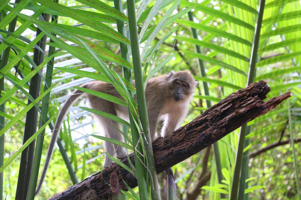 Khao Lak: Sri Phang Nga Canoe and Tam Nang Waterfall Tour - FAQ
