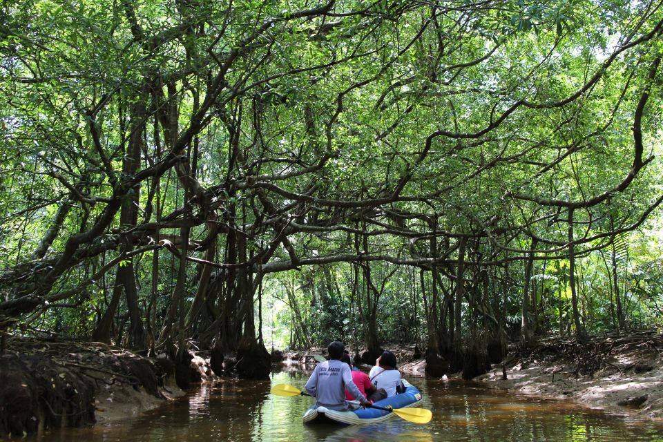 Khao Lak: Sri Phang Nga Canoe and Tam Nang Waterfall Tour - Takuapa market stop: where curry spices and bargaining culture enter the story