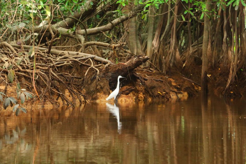 Khao Lak: Sri Phang Nga Canoe and Tam Nang Waterfall Tour - Who this tour is best for (and who should skip it)