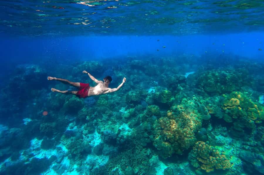 Khao Lak: Surin Islands Snorkeling Tour with Moken Village - Khao Lak to the Pier: why the long start matters