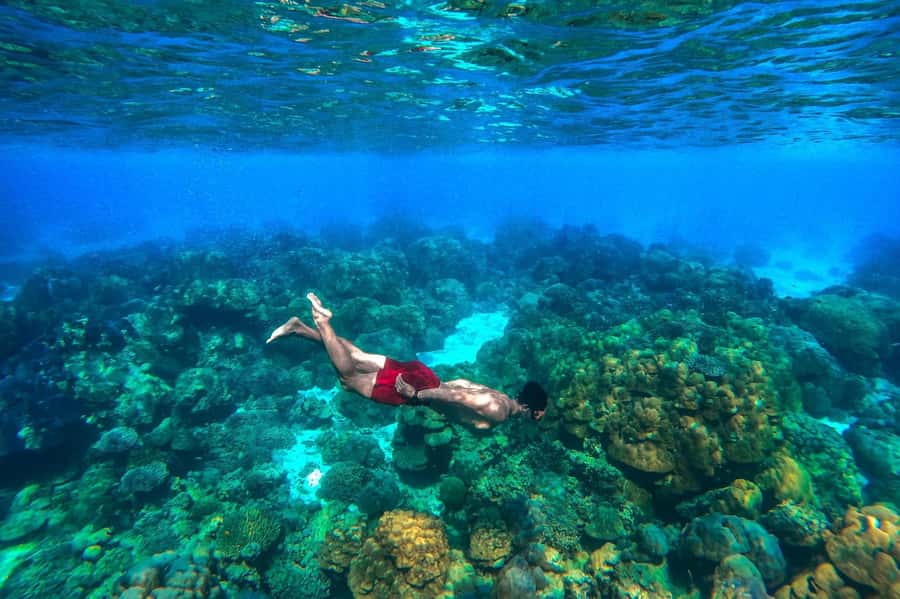 Khao Lak: Surin Islands Snorkeling Tour with Moken Village - National Park lunch and that mid-day beach reset