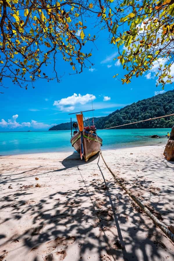 Khao Lak: Surin Islands Snorkeling Tour with Moken Village - Who this trip suits best (and who should skip it)