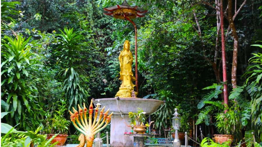 Khao Lak: The Amazing 3 Temples Phang Nga Tour - Who Should Book This Tour (and Who Might Skip It)