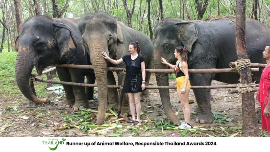 Khao Lak Wild ATV Quad Bike & Gentle Giants Experience - The ethical elephant sanctuary visit in Khao Lak (and how it really feels)