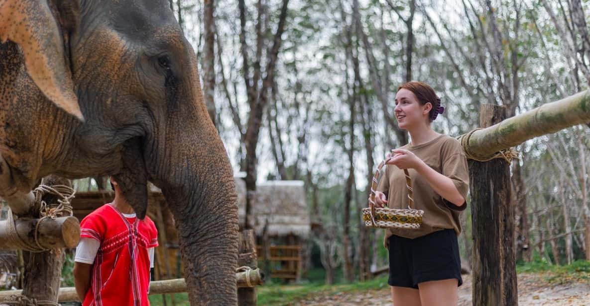 Khao Lak’s Best: Elephant Sanctuary,Rubber Tapping&Waterfall - Ethical Elephant Sanctuary in Khao Lak: What Gentle Care Feels Like