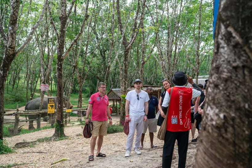 Khao Lak’s Best: Elephant Sanctuary,Rubber Tapping&Waterfall - What to Bring (and What to Leave Alone)