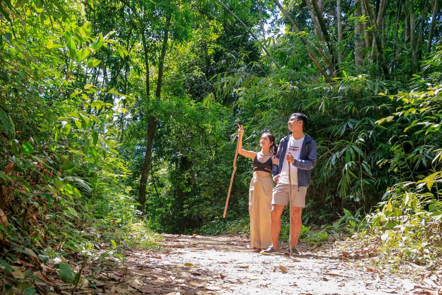 Khao Sok 2-Day Cheow Lan Lake, Wildlife & Ethical Elephants - Getting there from Khao Lak without feeling dragged around