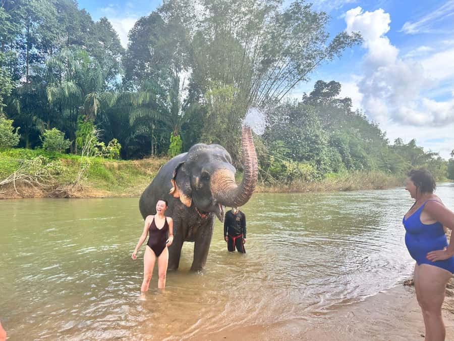 Khao Sok: Elephant Day Care, & Bamboo Rafting Day Tour - How this Khao Sok day tour works in about five hours