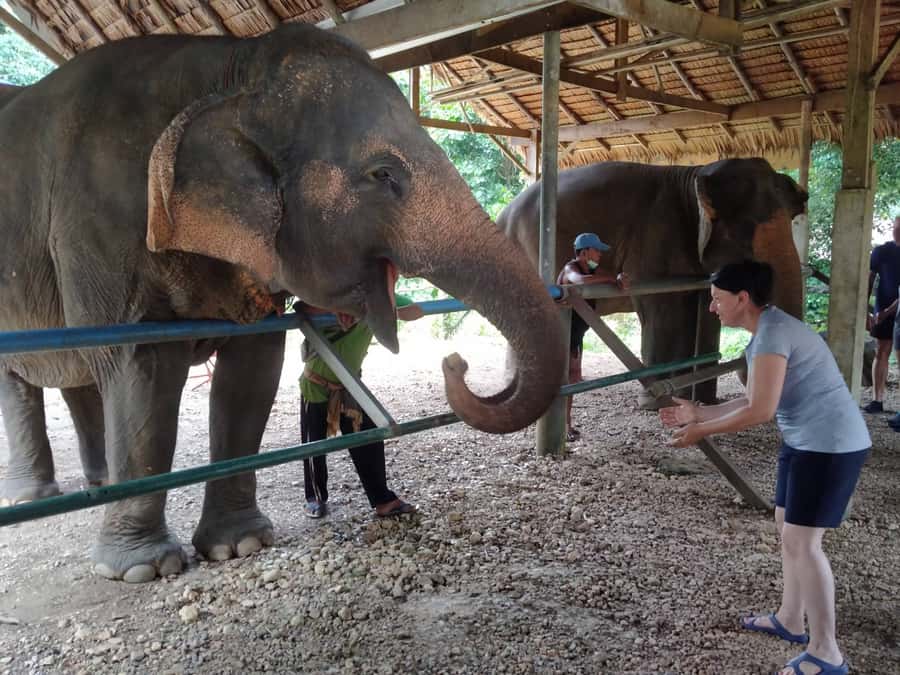 Khao Sok: Elephant Rescue Center with Lunch & Bamboo Rafting - Elephant Rescue Center: Washing, Medicinal Mix, and Hand Feeding