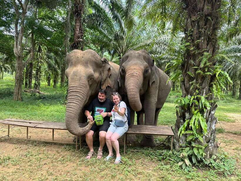 Khao Sok: Ethical Elephant Experience & Nature Walk - Logistics That Matter for a Smooth Visit
