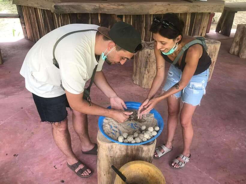 Khao Sok: Ethical Elephant Experience & Nature Walk - Feeding Time: What You Actually Do With the Elephants