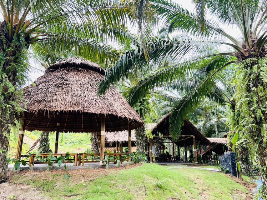 Khao Sok: Ethical Elephant Sanctuary Visit - What ethical care means here (and how to judge it fast)