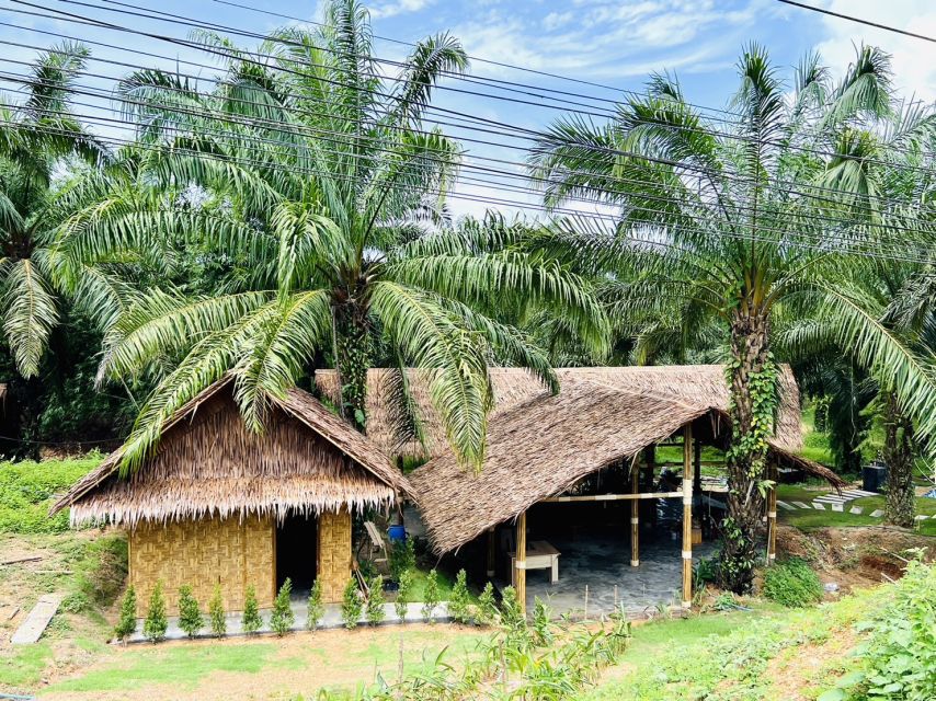 Khao Sok: Ethical Elephant Sanctuary Visit - Getting there: where pickup works (and where it doesn’t)