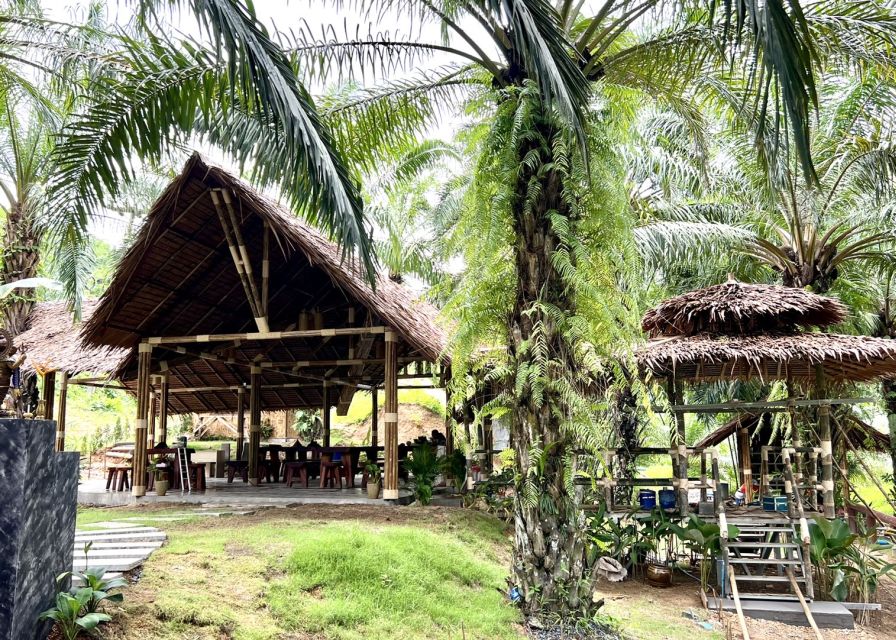 Khao Sok: Ethical Elephant Sanctuary Visit - Be a good visitor: small things that matter with big animals