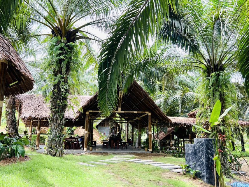 Khao Sok: Ethical Elephant Sanctuary Visit - The 2-hour flow: orchard prep, shade watching, and gentle up-close moments