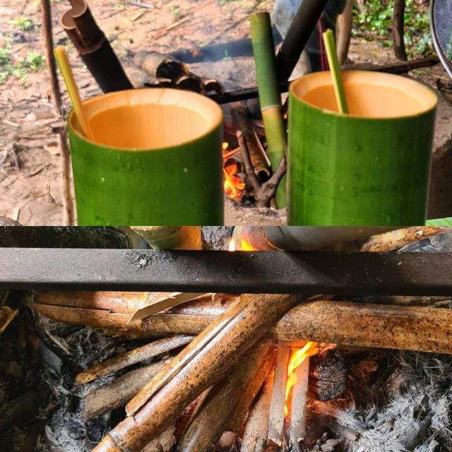 Khao Sok Jungle Day Trip - Jungle Trekking & Bamboo Rafting - Jungle Trekking with Juli: Flexible Effort, Real Wildlife Chances