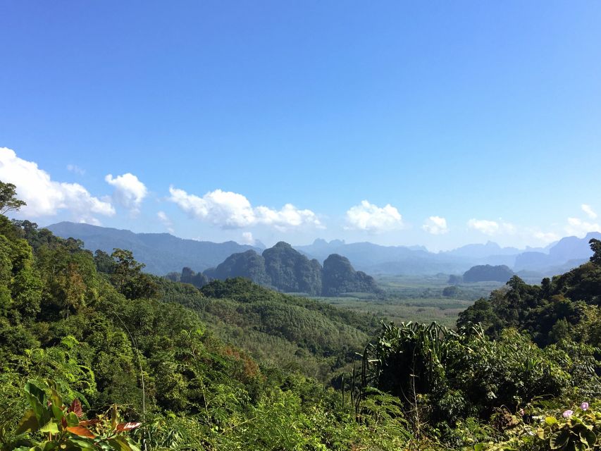 Khao Sok Jungle Day Trip - Jungle Trekking & Bamboo Rafting - 07:00 Pickup, Viewpoint Views, and the Forest Setup