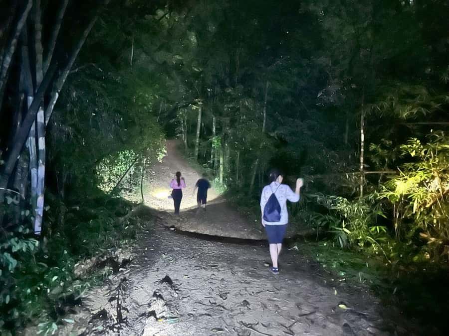 Khao Sok Jungle Sunset Wildlife Encounter & Bamboo Rafting - Key Points You Should Know Before You Go