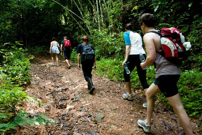 Khao Sok National Park Hiking and Bamboo Raft Tour From Khao Lak - Key highlights