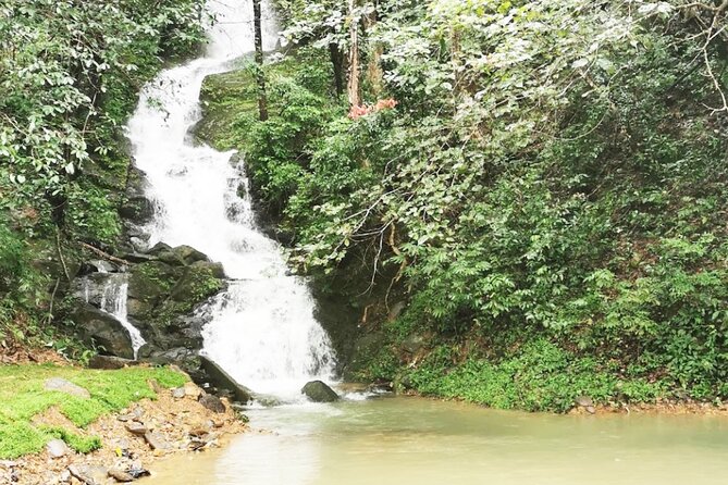 Khao Sok National Park Hiking and Bamboo Raft Tour From Khao Lak - Panturat Temple and Khao Sok View Point: monkeys, then panoramic forest views