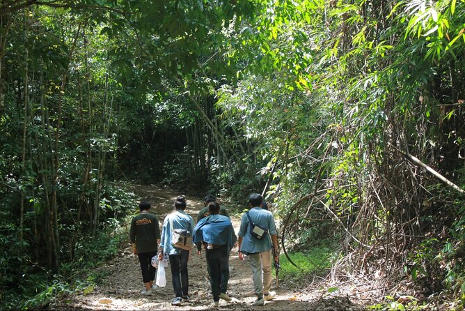 Khao Sok National Park Hiking and Bamboo Raft Tour From Khao Lak - Mae Yai Waterfall: an extra during rainy season