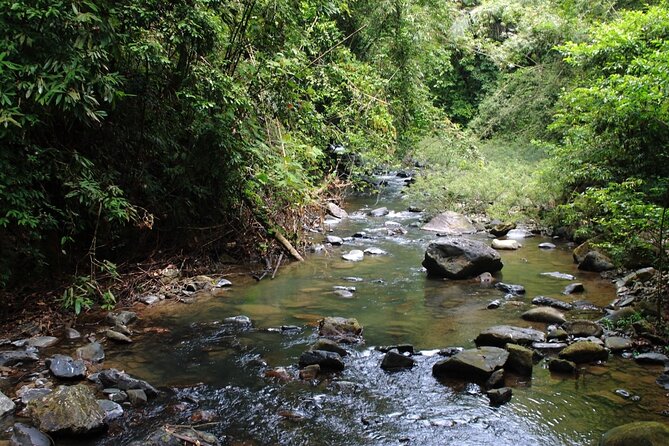 Khao Sok National Park Hiking and Bamboo Raft Tour From Khao Lak - Price and value: is $125.55 a fair deal?