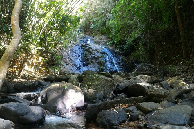Khao Sok National Park Hiking and Bamboo Raft Tour From Khao Lak - Who should book this Khao Sok hiking and bamboo rafting day
