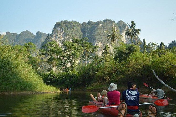 Khao Sok National Park Jungle Safari Full Day Tour from Phuket - Stop 2: Khao Sok National Park Views, Elephant Camp, and Jungle Trek Time