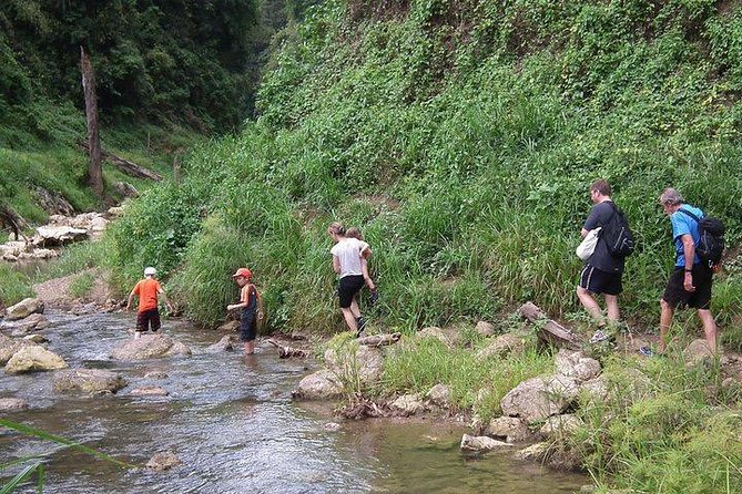 Khao Sok National Park Jungle Safari Full Day Tour from Phuket - Lunch at a Jungle Lodge: The Unsexy Part That Matters