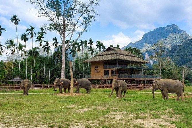 Khao Sok National Park Jungle Safari Full Day Tour from Phuket - Gear, Timing, and Fitness: How to Prepare Like a Pro
