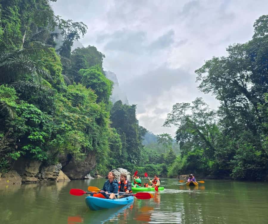 Khao Sok Park: Jungle Kayak Adventure & Wildlife Tour - Key highlights at a glance