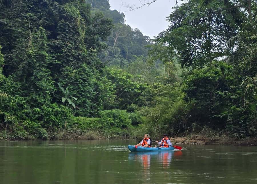 Khao Sok Park: Jungle Kayak Adventure & Wildlife Tour - Price and Value: When It Feels Worth It, and When It Might Not
